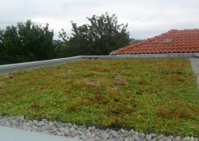 Extension végétalisée à Verniolle